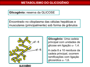metabolismo do glicogênio - Odontologia Sorocaba 2016