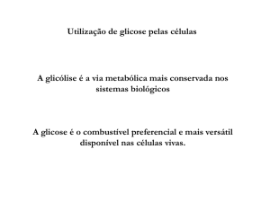 Utilização de glicose pelas células A glicólise é a via metabólica