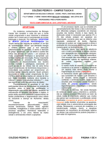 colégio pedro ii texto complementar 06 / 2015