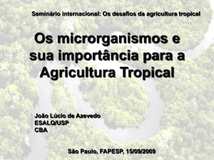 Os microrganismos e sua importância para a Agricultura