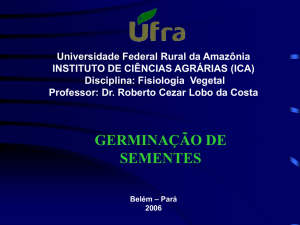 Germinação - Roberto Cezar | Fisiologista Vegetal