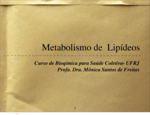 Metabolismo de Lipídeos - (LTC) de NUTES