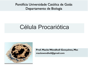 Célula Procariótica - SOL