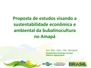 Apresentação do PowerPoint - Ministério Público do Estado do Amapá