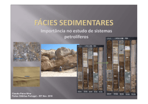 Fácies sedimentares