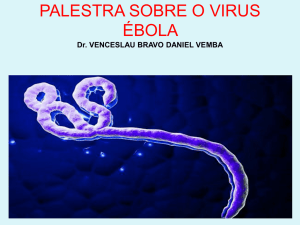 o que é a doença pelo vírus ébola
