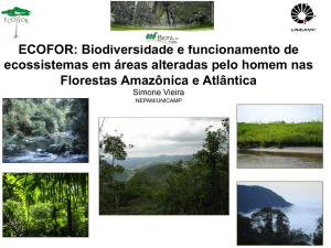 Biodiversidade e funcionamento de ecossistemas em áreas