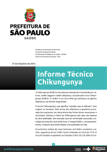Informe Técnico Chikungunya