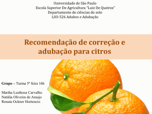 Recomendação de correção e adubação para citros
