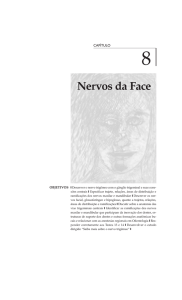 Nervos da Face - anatomiafacial.com
