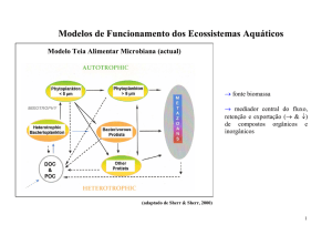 Modelos de Funcionamento dos Ecossistemas Aquáticos