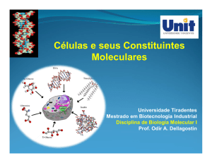 Células e seus Constituintes Moleculares