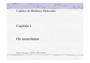 AULA 1 Neurónios Biofísica Molecular 2012-2013 - Moodle