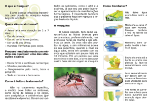 O que é Dengue? - Marinha do Brasil