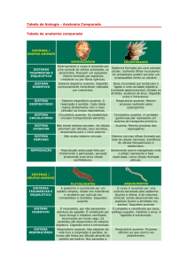 Tabela de biologia - anatomia comparada