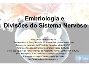 Embriologia do Sistema Nervoso