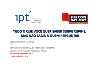 Gonzalo A.C. Lopez/IPT - Programa Madeira é Legal