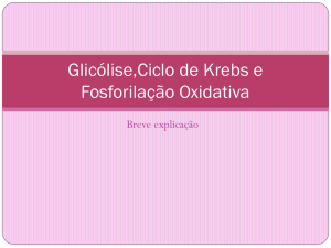 Glicólise,Ciclo de Krebs e Fosforilação Oxidativa