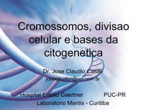 Cromossomos, divisão celular e bases de citogenética