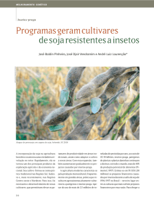 Programas geram cultivares de soja resistentes a insetos