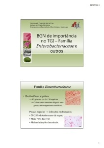 BGN de importância no TGI – Família Enterobacteriaceae e