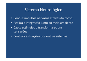 Sistema Neurológico
