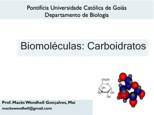 Biomoléculas: Carboidratos - SOL