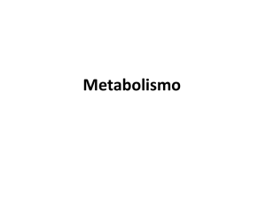 Metabolismo Ficheiro - Moodle