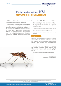 Dengue Antígeno NS1 - Laboratório Humberto Abrão