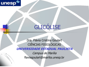 glicólise - UNESP Marília