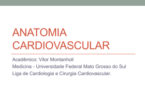 Anatomia Cardiovascular - Liga Acadêmica de Cardiologia e