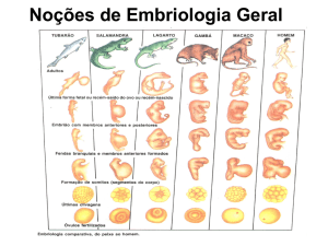 Noções de Embriologia Geral Arquivo