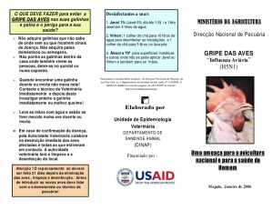 GRIPE DAS AVES (H5N1) MINISTÉRIO DA
