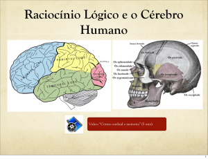 Raciocínio Lógico e o Cérebro Humano