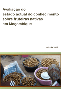 Avaliação do estado actual do conhecimento sobre fruteiras nativas