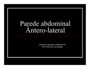 Parede abdominal Ântero-lateral