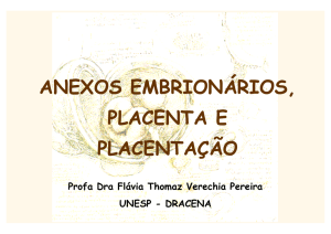 anexos embrionários, placenta e placentação