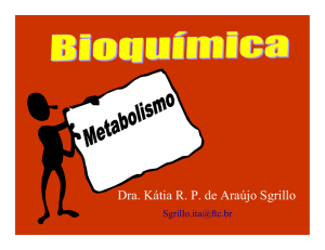 Visão do metabolismo - Etc Personal Page R. Sgrillo