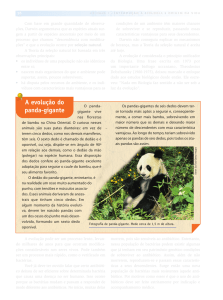 A evolução do panda-gigante