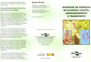 diagnose de doencas de plantas: coleta, armazenamento e