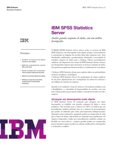 IBM SPSS Statistics Server