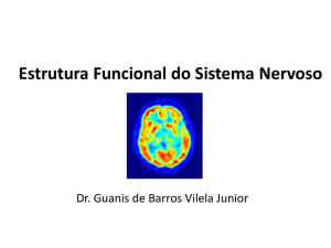 Estrutura Funcional do Sistema Nervoso