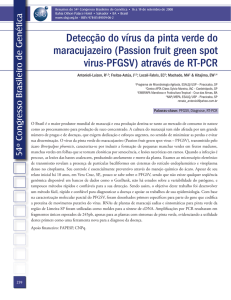 Detecção do vírus da pinta verde do maracujazeiro (Passion fruit