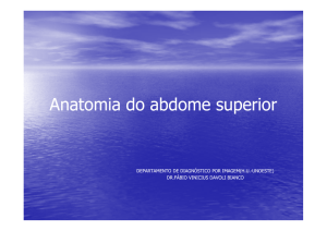 Anatomia do abdome superior