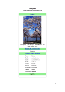Cerejeira - Ecoverde Mudas Nativas