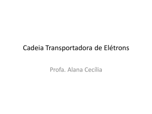 Cadeia Transportadora de Elétrons - Bioquímica