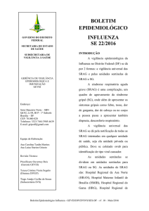 Boletim Influenza DF SE 22 (1)