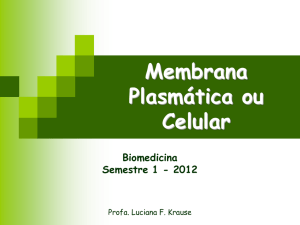 Membrana Plasmática ou Celular