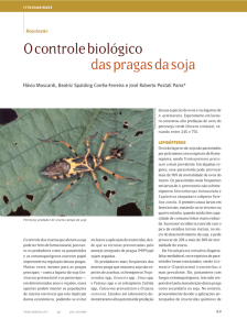 O controle biológico das pragas da soja - Esalq