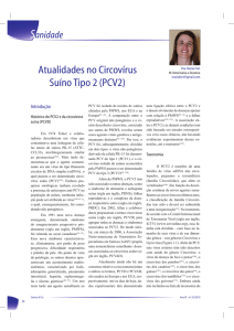 Atualidades no Circovírus Suíno Tipo 2 (PCV2)